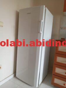 Spot Beko D9488NEXK İnoks No Frost Buzdolabı 15 Spot tek kapılı beko derin dondurucu 2000 TL